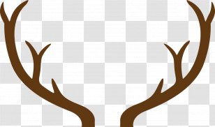 Paper Greeting & Note Cards Father's Day Card Stock - Deer Antlers Transparent PNG