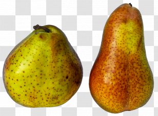European Pear Asian Fruit Kolach Pome - Accessory Transparent PNG