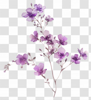 Purple Flowers - Delicate Purple Floral Branch Illustration Transparent PNG
