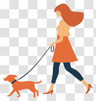 Woman Walking Dog - Illustration Of Woman Walking A Dog Transparent PNG