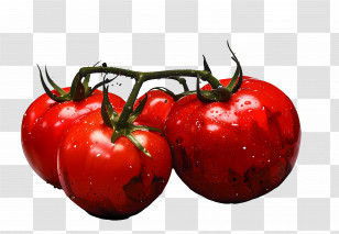 Wet Red Tomatoes - Vine-Ripened Wet Red Tomatoes Transparent PNG