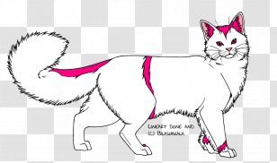 Persian Cat Line Art Domestic Long-haired Drawing Coloring Book - Warriors - White Lineart Transparent PNG