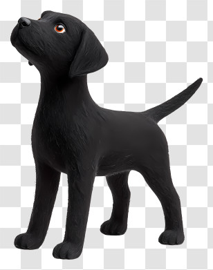 Black Labrador Puppy - Black Dog Looking Up Transparent PNG