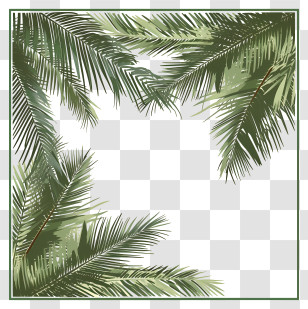 Palm Branches - Green Palm Leaves Frame Transparent PNG