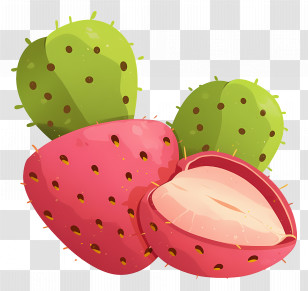 Prickly Pears - Prickly Pear Fruit Illustration Transparent PNG