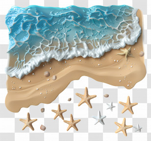 Beach Shore - Sandy Beach With Starfish Transparent PNG