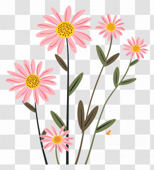 Daisy Pink Flowers - Pink Daisy Flowers In Minimalist Illustration Transparent PNG