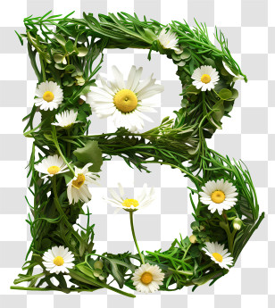 Floral Letter B - Letter B With Green Plants And Daisies Transparent PNG