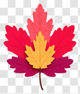Autumn Maple Leaf - Colorful Maple Leaves For Autumn Transparent PNG