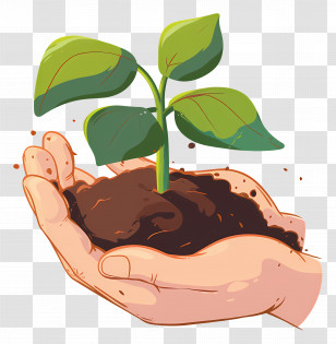 Hand Holding Soil - Hand Gently Holding A Green Seedling Transparent PNG