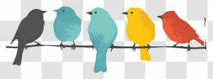 Birds Sitting On A Line - Colorful Birds Perched On A Branch Transparent PNG