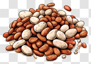 Beans - Illustration Of A Pile Of Beans Transparent PNG