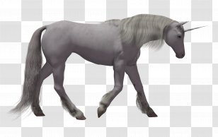 Unicorn Horse Transparency And Translucency - Cartoon Creative Transparent PNG