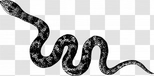 Snake Vipers Reptile Cobra - Body Jewelry Transparent PNG