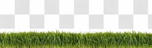 Chinese Herbology Lawn - Ground Grass Transparent PNG