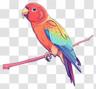 Parrot - Colorful Parrot On A Branch Transparent PNG