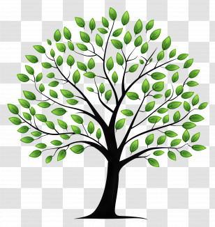 Simple Tree - Green Leafy Tree Illustration Transparent PNG