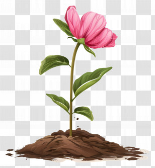 Pink Flower - Pink Flower Sprouting From Soil Transparent PNG