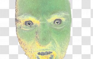 Nose Portrait Face Summer Close-up - Brtt Transparent PNG