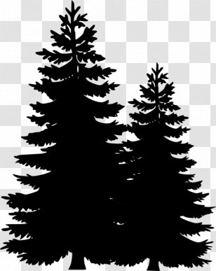 Pine Tree Fir Clip Art - Christmas - Landscaping Cliparts Transparent PNG