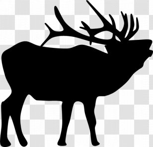 Reindeer Elk Silhouette Wildlife Clip Art - Tree Transparent PNG
