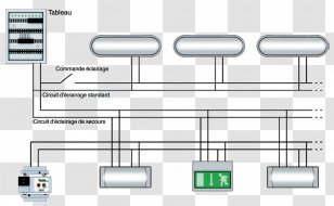 Energy Saving Lamp Electric Potential Difference Current Density Electrical Conductor Transparent PNG