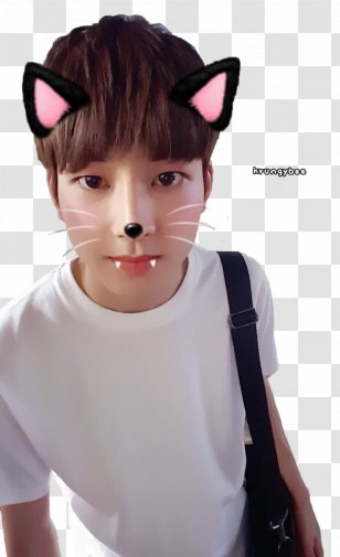 Wonwoo Seventeen 17 Carat Fan Fiction Mansae - Child - Woo Transparent PNG