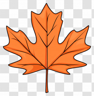 Autumn Maple Leaf - Orange Maple Leaf Illustration Transparent PNG