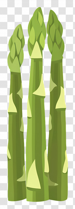 Asparagus - Fresh Green Asparagus Stalks Illustration Transparent PNG