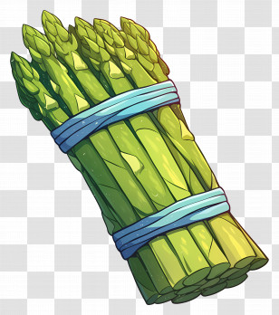 Asparagus - Illustration Of Fresh Asparagus Bundle Tied With Blue Bands Transparent PNG