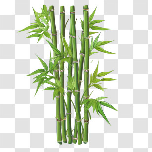 Bamboo - Illustration Of Green Bamboo Stems With Leaves Transparent PNG