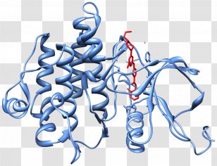 Nilotinib Bcr-Abl Tyrosine-kinase Inhibitor Philadelphia Chromosome - Frame - Heart Transparent PNG