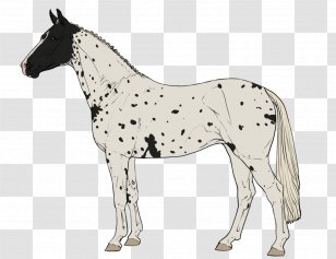 Pony Mustang Foal Stallion Mare - Colt - Spot The Difference Transparent PNG