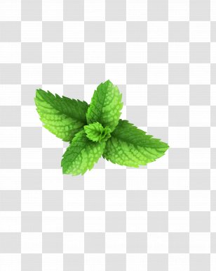 Milkshake Peppermint Green Download - Leaf - Green, Fresh Grass Transparent PNG