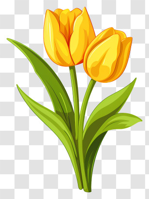 Yellow Tulips - Yellow Tulips Illustration Transparent PNG