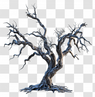 Old Dead Tree - Dead Tree Illustration Transparent PNG