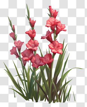 Gladiolus - Pink Gladiolus Flowers Transparent PNG
