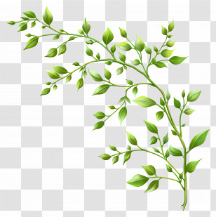 Green Twig - Green Leafy Branch Illustration For Nature Themes Transparent PNG