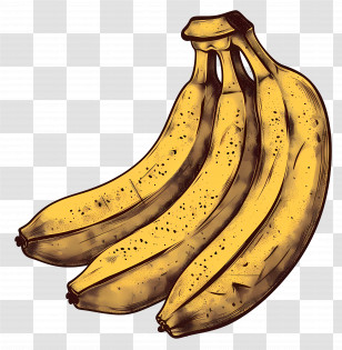 Bananas - Ripe Bunch Of Yellow Bananas Transparent PNG