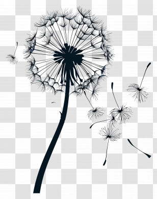 Dandelion - Black Dandelion Plant Silhouette Transparent PNG