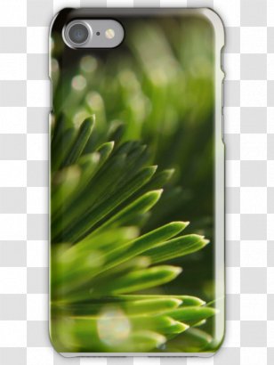 Nature Photography Tasche Tote Bag - Pine Needles Transparent PNG