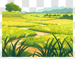 Rice Field Background - Green Lush Rice Field Landscape Transparent PNG