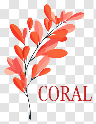 Coral Logo - Coral Orange Botanical Illustration Transparent PNG