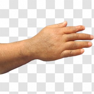 Thumb Prosthesis Hand Amputation Finger - Little Transparent PNG