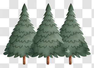 Cartoon - Cartoon Pine Trees In Forest Setting Transparent PNG