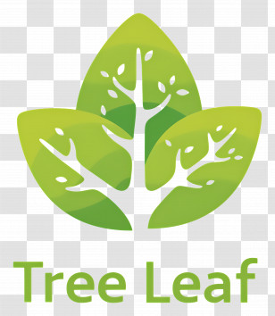 Tree Leaf - Tree Leaf Eco Logo Transparent PNG