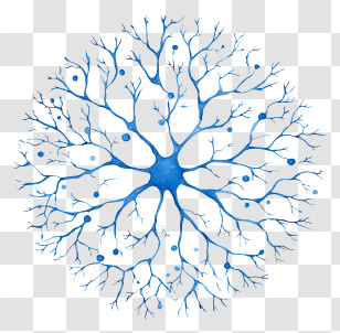 Brain Neuron Network - Neuron Network Illustration Transparent PNG