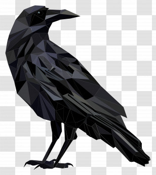 Crow - Geometric Illustration Of A Black Raven Transparent PNG