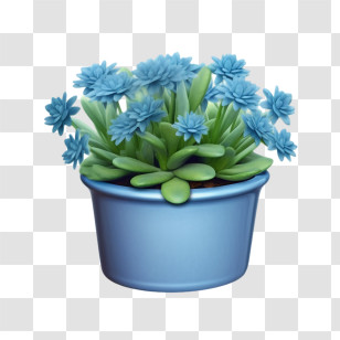 Blue Senecio Succulent
 - Potted Plant With Blue Flowers Design Transparent PNG