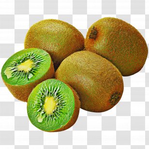 kiwi fruit png images transparent kiwi fruit images pnghut